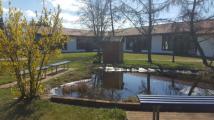 schule_aussen_teich.jpg